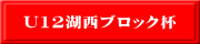 U12湖西ブロック杯
