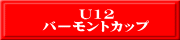 U12 バーモントカップ
