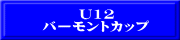 U12 バーモントカップ