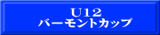 U12 バーモントカップ